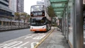 A41P