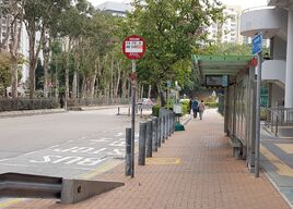 Tsing Yi Market 20240204 3