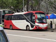 Jackson Bus AU635 MTR Free Shuttle Bus E99M 31-10-2021
