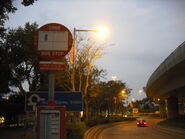 站景（2011年1月）