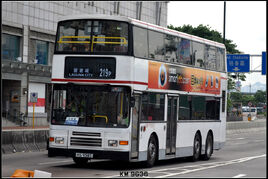 HS9585-219P