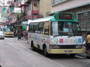 Hoi Pui Street 2