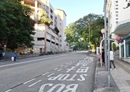 WTCMS 20241130 2.jpg (1.67 MB) 站景,可見前方城巴站柱仍未拆除(2024年11月)