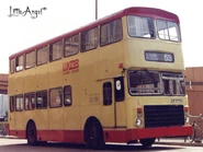 第二批亞歷山大車身丹尼士喝采，配上向前推開的司機門（圖為N71／CF7770）