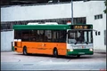 81