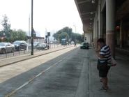 Sam Shing 20130920-2