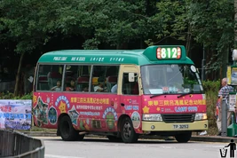 TP3253-812