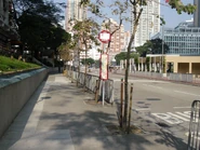 站景（2014年1月）