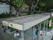 站景（2010年7月）