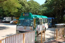 TaiPo-WaiTauTsuen-8161