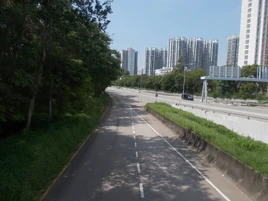 TinYingRoad