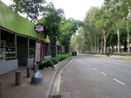 站景（2018年4月）