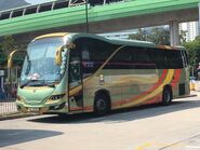 Lung Wai Tour GS6399 MTR Free Shuttle Bus S1A 01-10-2019