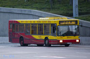 A11線以往部分班次使用猛獅NL262（156X）單層巴士