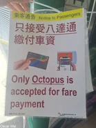 珀麗灣客運只接受八達通通告