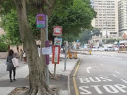 站景（2020年1月）