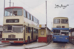 Jordan Road Ferry KMB 95&110 BT