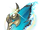Plume de bon augure