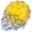 Item 阿赖耶华