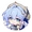 知更鸟•韶华