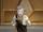 Aulus
