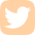 FTwitter icon