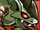 Greenmist Drake