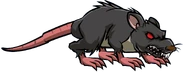 Giant Rat +