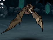 Vampire Bat EL1