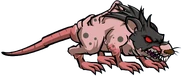 Giant Rat +++