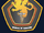 BuMed Insignia 01.png