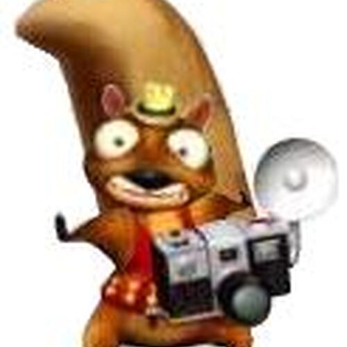Hoodwinked Squirrel