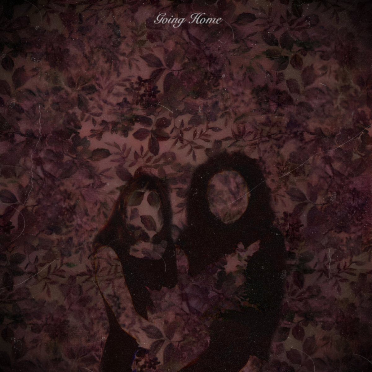 Love | Hope Sandoval Wiki | Fandom