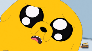 de que raza es jake el perro