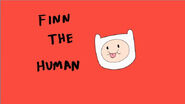 Finn-the-human1