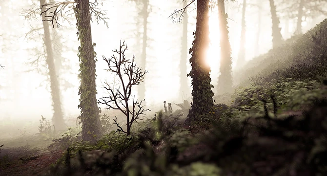 Чудово пророблений світ