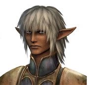 Ffxi fce 01l