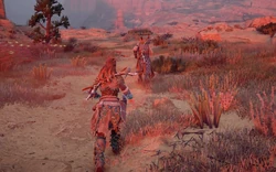 Field of the Fallen