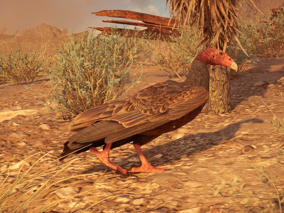 Vulture | Horizon Wiki | Fandom