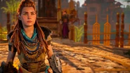 Aloy talking to Marad.