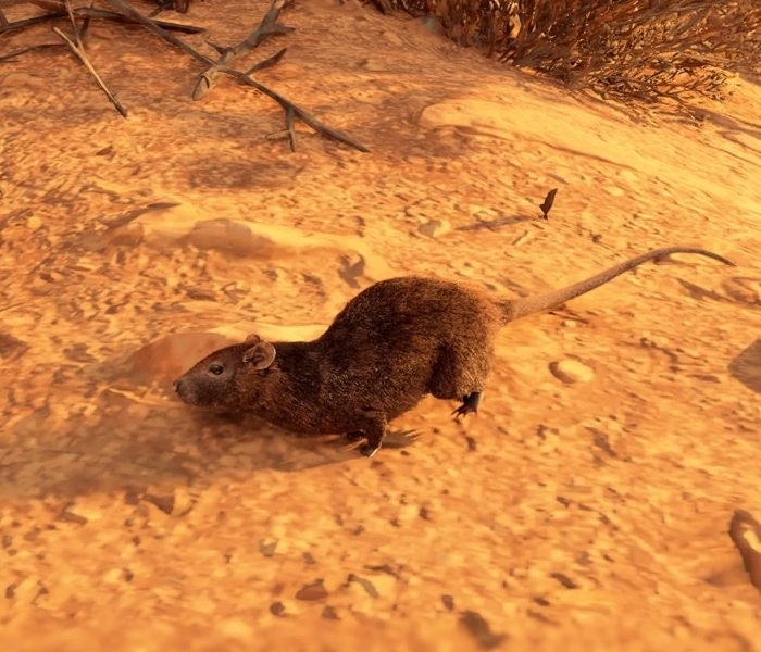 Brown Rat Horizon Wiki Fandom