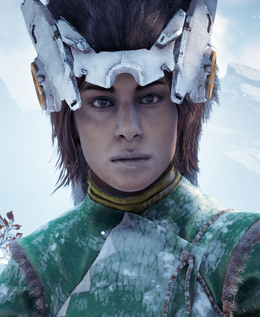 Into the Frozen Wilds, Horizon Wiki