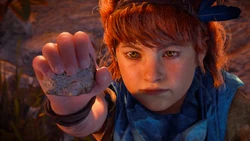 Lessons of the Wild (HZDR; 114)