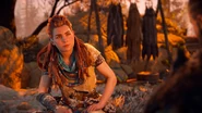 Aloy talking to Rost.
