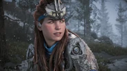 Aloy talking to Naltuk.