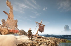 Ivvalla stranded on the outcropping