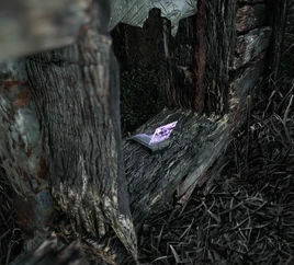 Ignominious Cryathon