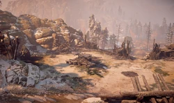 Mother's Watch after the  invasion.