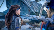 Aloy ready for the challenge.