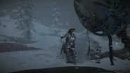 Aloy seeing a balloon flying past.